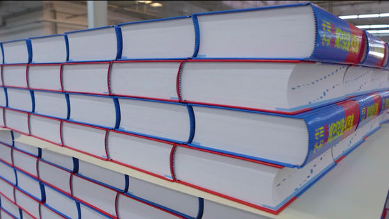 3ph Spanning Dubbele diepe pallet rekken systeem voor zware opslag Hardcover Boek Interleaving Pile stapelmachine